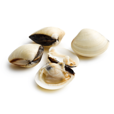 ALMEJA BLANCA CONGELADA