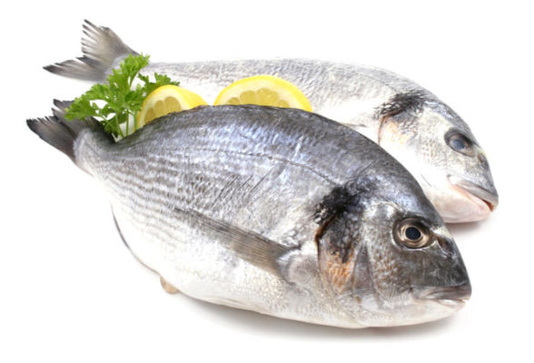 DORADA FRESCA