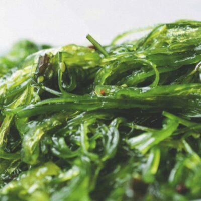 Alga wakame